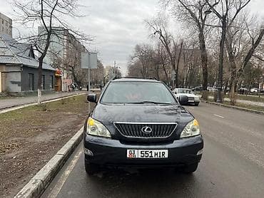 step rf3: Lexus RX: 2004 г., 3.3 л, Автомат, Бензин, Кроссовер — 8