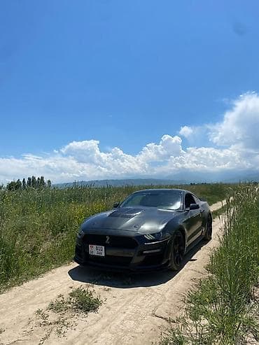 спойдер: Ford Mustang: 2020 г., 2.3 л, Автомат, Купе — 6