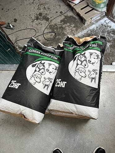 Продукты питания: Беде урук,1-сорт 99%онот кепилдик беребиз Жугору уруктурлору бар — 3