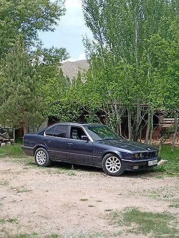 Транспорт: BMW 5 series: 1990 г., 2.5 л, Кол менен иштөөчү, Бензин, Седан — 1