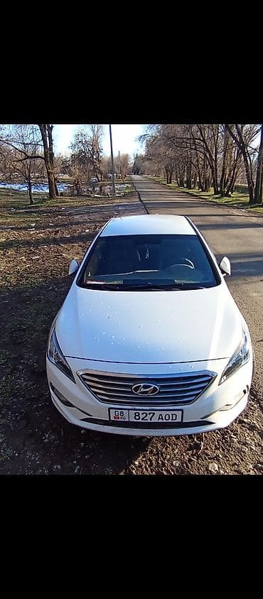 аварийный соната: Hyundai Sonata: 2016 г., 2 л, Автомат, Бензин, Седан — 6