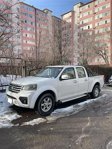 Great Wall: Great Wall Wingle: 2020 г., Пикап — 3