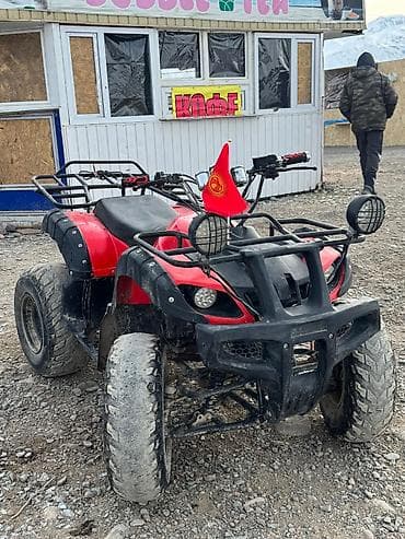 танк 500: Квадроцикл Бензин, 200 куб. см, Взрослый — 1