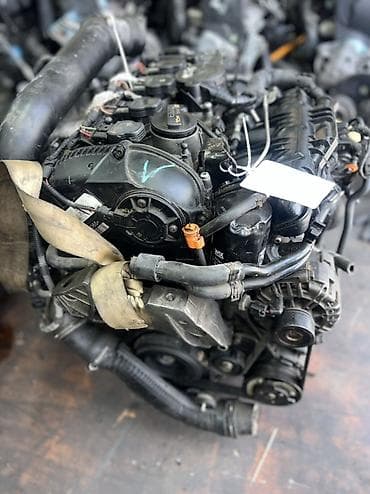 octavia: Дизельный мотор Volkswagen 1.6 л, Оригинал — 3