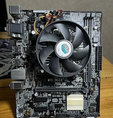arsenal computers: Материнская плата для ПК, Новый, Asus, LGA1151, Micro-ATX — 1