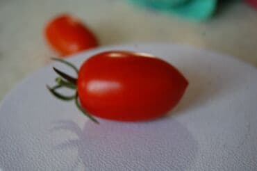 разнорабочий в бишкеке: Ищу бизнес партнера, инвестора, для выращивания овощей (открытый — 21