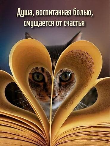 работу дворника: Сиделка Больше 6 лет опыта — 4