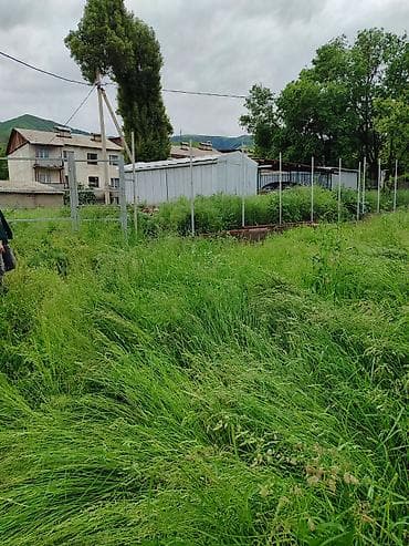 варанцовка: 10 соток, Для строительства, Красная книга — 2