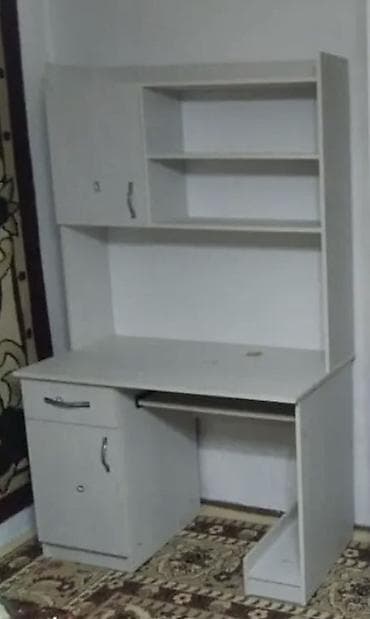 Компьютердик үстөлү, Текчелери бар