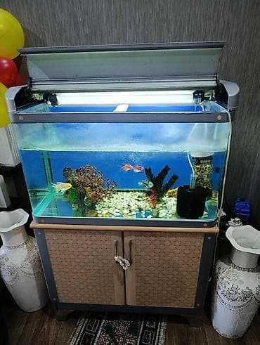 аквариумы с рыбками: Заводской аквариумный комплект на тумбе со всеми оборудованиямии — 1