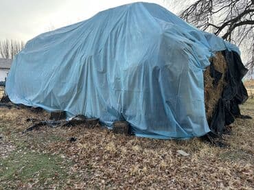 объявления о найденных животных: Сено в прямоугольных тюках - Заготовлено в стог, укрыто плёнкой от — 1