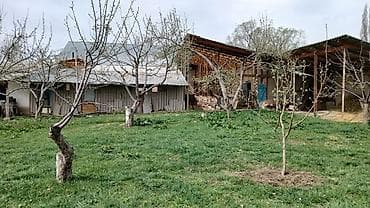 жер участок: Продаем большой дом в селе Курменты Тюпского района Иссык-Кульской — 6