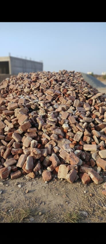 Грызуны: Просроченный булочка сатылат 1 кг 15 сом . ушул бойдон дробилкадан — 1