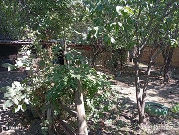 продаю дом в кызыл аскере: Үй, 63 кв. м, 4 бөлмө, Менчик ээси, Эски ремонт — 18