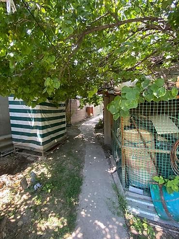 Дома: 🏠 Эксклюзивный вариант! АДРЕС: Селекционное ( ул . Вишневое ) 🏡 — 4