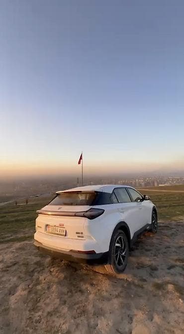 BYD : 2022 г., Электромобиль, Кроссовер
