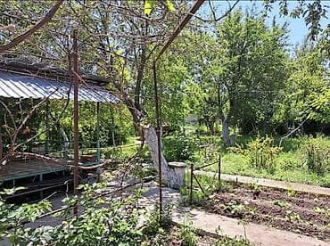 жер үй квартира: ‼️Срочно продается Дача в Байтике 15км от города 🏠На участке есть дом — 9