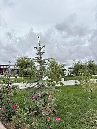 🏡 Продаётся квартира в Alpha White Resort 📍 село кош коль