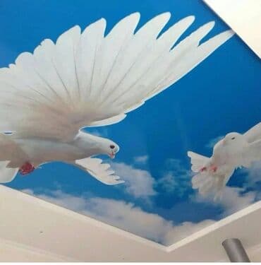 натяжные потолки город ош: Натяжной потолок Глянцевое, Матовое, 3D потолки Монтаж, Гарантия, Демонтаж — 4