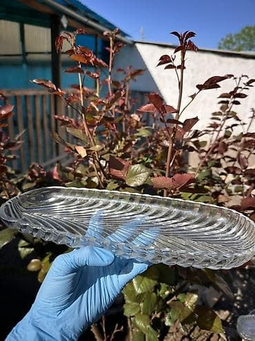 Кафелер, ресторандар үчүн: Посуда б/у Фруктовницы 3шт -1500с Для нарезки 4шт-1500 Тарелки — 9