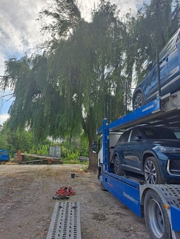 печь для дома на угле: Дрова Самовывоз — 1