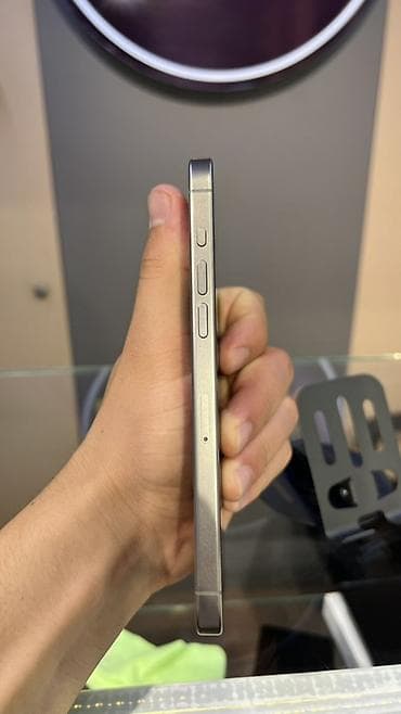 nintendo 3ds cfw: IPhone 15 Pro Max, 256 ГБ, Серебристый, Зарядное устройство, Защитное стекло, Чехол, В рассрочку, 83 % — 5
