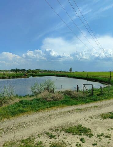 обмен кв на дом: 600 соток, Для бизнеса, Красная книга — 8