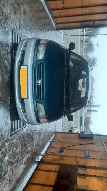 Toyota Ipsum: 1997 г., Автомат, Бензин, Минивэн