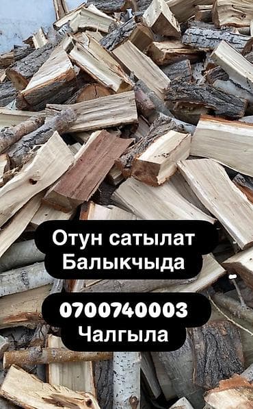 Отун: Отун — 1
