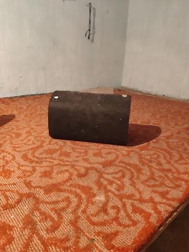 Автоунаа акустикасы: Сабвуфер в тубе для автомобиля - Форм‑фактор: цилиндрическая — 1