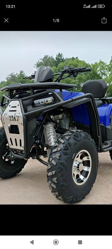 муравей мотосикл: Квадроцикл Бензин, 200 куб. см, Взрослый — 12