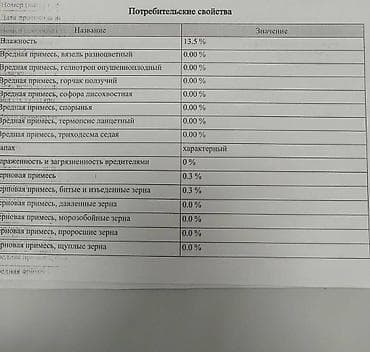 древа: Древесные брикеты, Оптом, В мешках — 5