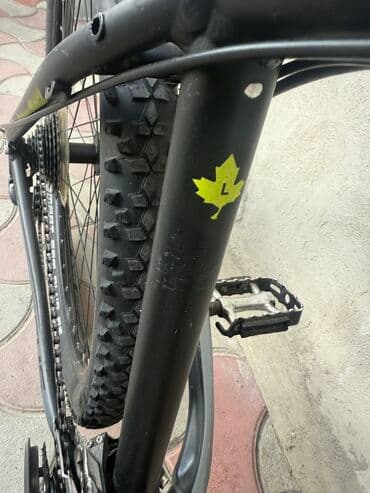 купить трехколесный электровелосипед для взрослых бу: Из Германии — 5