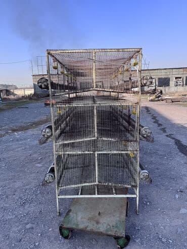 корм для домашних животных: Продаю клетки для несушек многоярусные на 144 штук курей. Размер — 3