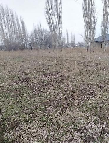участки в канте: 10 соток — 3