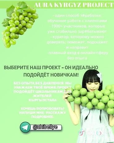 временная: Онлайн-проект AURA KYRGYZ PROJECT - Обучение работе с клиентами и — 2