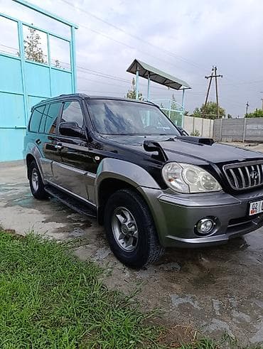 bmw e318: Hyundai Terracan: 2001 г., 2.5 л, Механика, Дизель, Внедорожник — 3