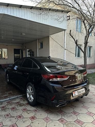 sonata 2014: Hyundai Sonata: 2019 г., 2.4 л, Автомат, Бензин, Седан — 1