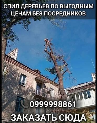 Услуги: Спил деревьев и кронирование любой сложности. - Работа на высоте — 1