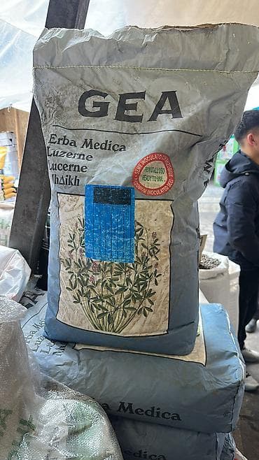 Бананы: Беде эспарцет, жугору, арпа, кукуруза 🌽, семена люцерна — 3