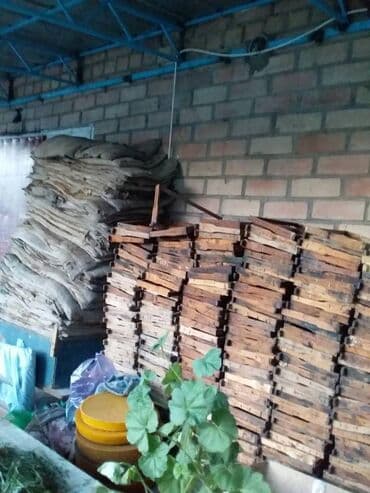 пчела пакет: Рамки для пчел. руто — 1