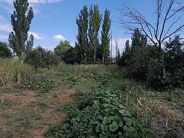 Продажа домов: 🏠 ПРОДАЕТСЯ ДОМ С БОЬЛЬШИМ УЧАСТКОМ В СЕЛЕ ТЮП Расположен на — 2