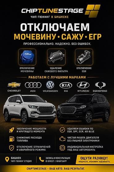 cobra tuning: Чип-тюнинг в Бишкеке — CHIPTUNESTAGE Услуги: - Отключение мочевины — 1