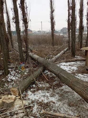 обзор цен на строительные и отделочные работы в бишкеке: Профессиональный спил деревьев любой сложности 110%гарантия сокулук — 8