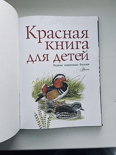 Детские книги: Книга: «Красная книга для детей. Редкие животные России» Автор: Сергей — 2