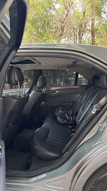 w210 е55: Mercedes-Benz E-Class: 2009 г., 3.5 л, Автомат, Бензин, Седан — 5