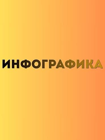 жумуш сантехника: Инфографика — профессиональная визуализация данных и идей под ваши — 1