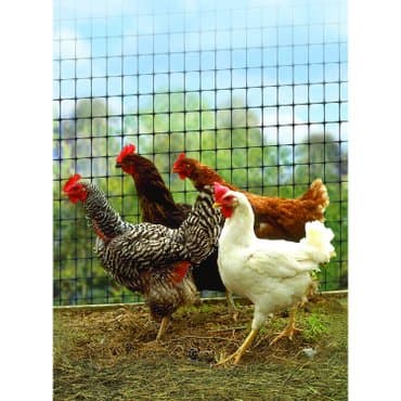 домик для куры: Сетка для птичников пластиковая -сооружение вольеров для мелких — 4