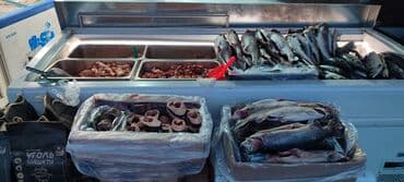 джалал абад покупайка: Дордой Фуд даяр бизнес точка сатылат! Продаётся готовый бизнес, точка — 6