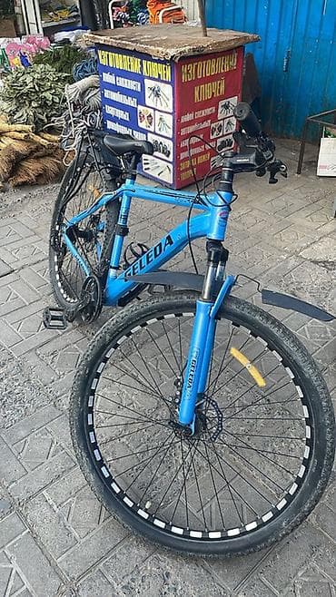 speedone frame: Горный велосипед, Geleda, Алюминий — 1
